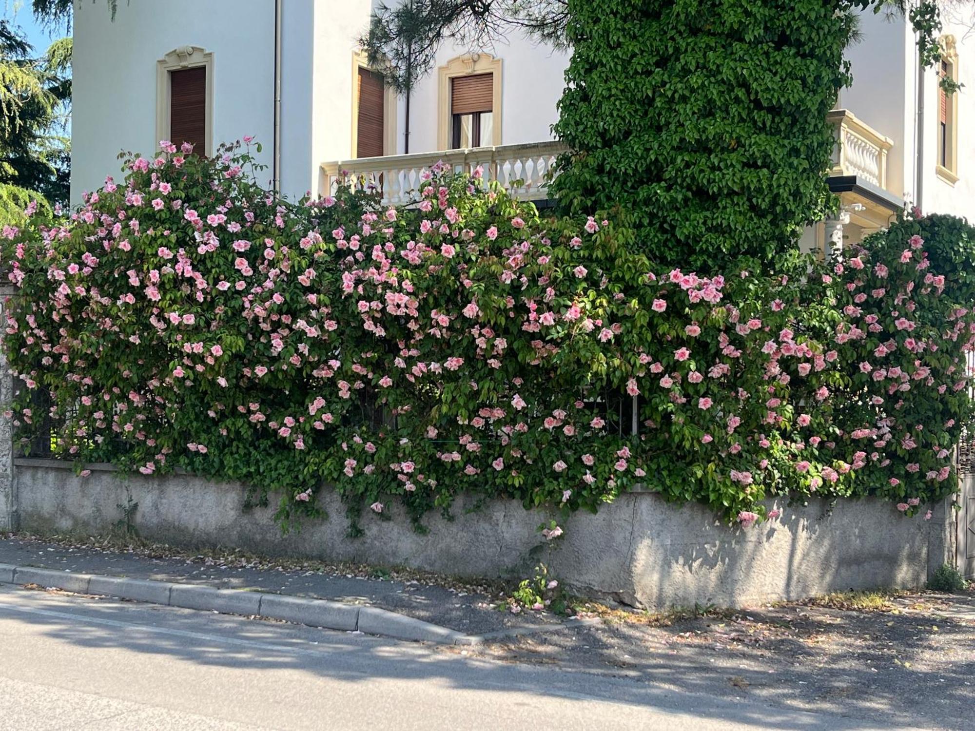 Il Bozzolo Boutique Apartments Valeggio sul Mincio Extérieur photo